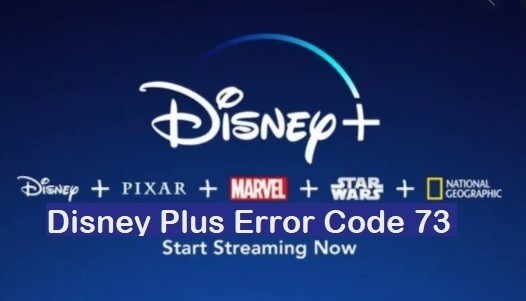 How To Fix Disney Plus Error Code 73? Get Rid Of It Fast
