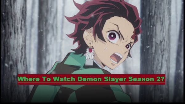 Where To Watch Demon Slayer Season 2 All Episodes-Netflix