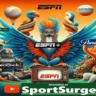 What Are The Best SportSurge Alternative Available
