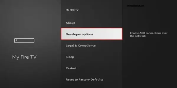 Choose Developer Option
